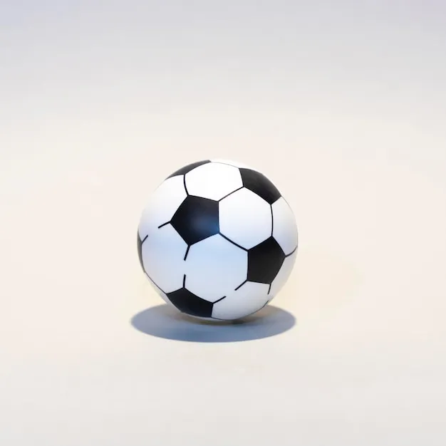 满冠（MG）体育 品牌横幅