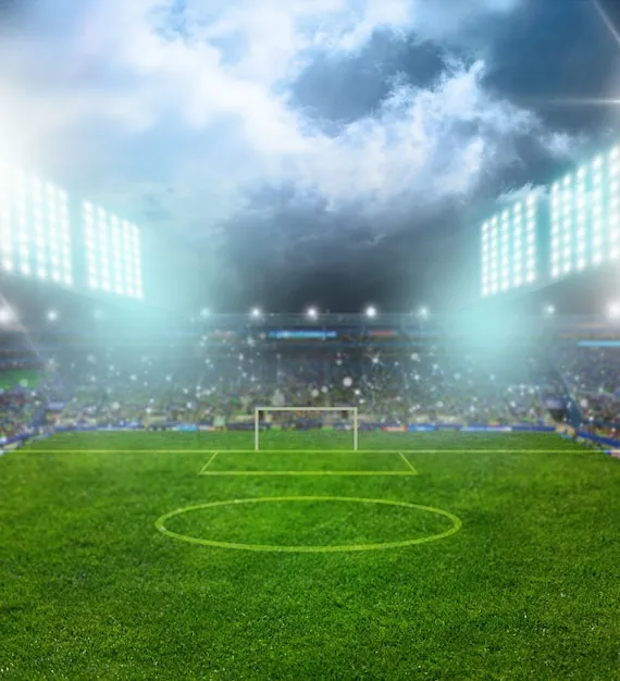 满冠体育官方形象海报